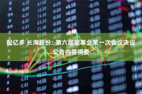 配亿多 长海股份: 第六届董事会第一次会议决议公告内容摘要