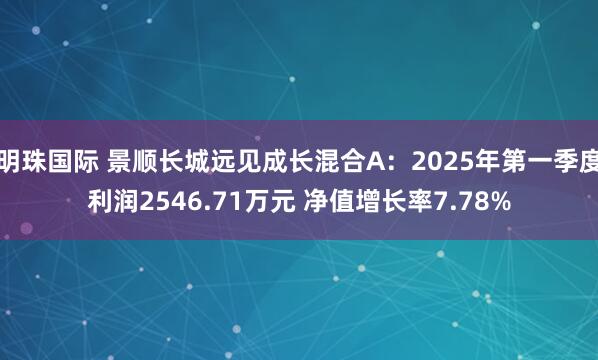 明珠国际 景顺长城远见成长混合A：2025年第一季度利润2546.71万元 净值增长率7.78%